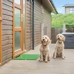 山林小屋 3 Bed In Whitby Oc-wa057 布朗斯维克